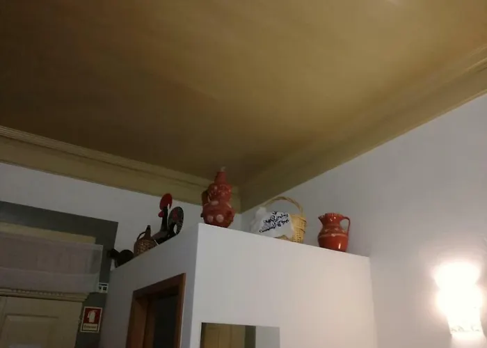 Gasthuis Local F&b 4*